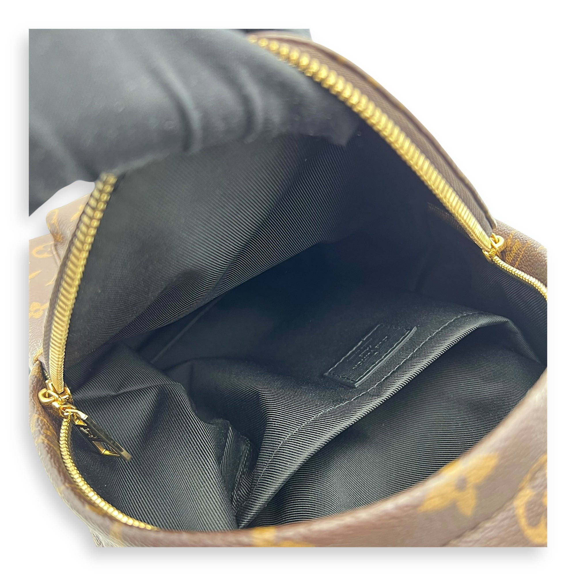 Palm Springs PM Brown Backpack in Monogram Coated Canvas, Gold hardware - Image 7