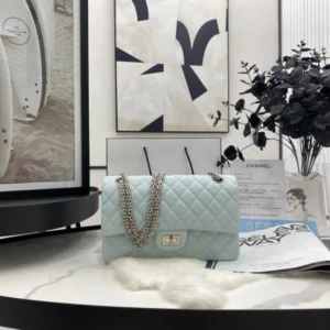 SportInspired CHANEL FLAP BAG 509