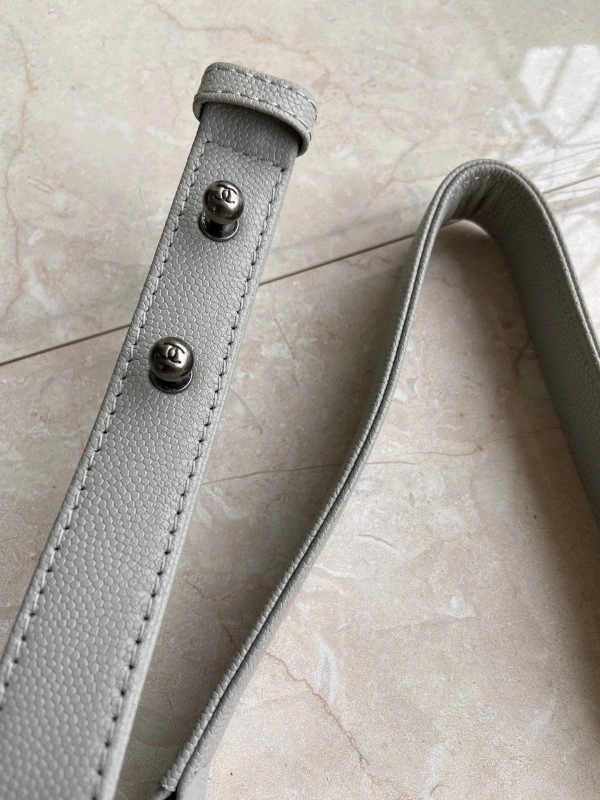 WellDesigned CHANEL BOY BAG 259 - Image 9