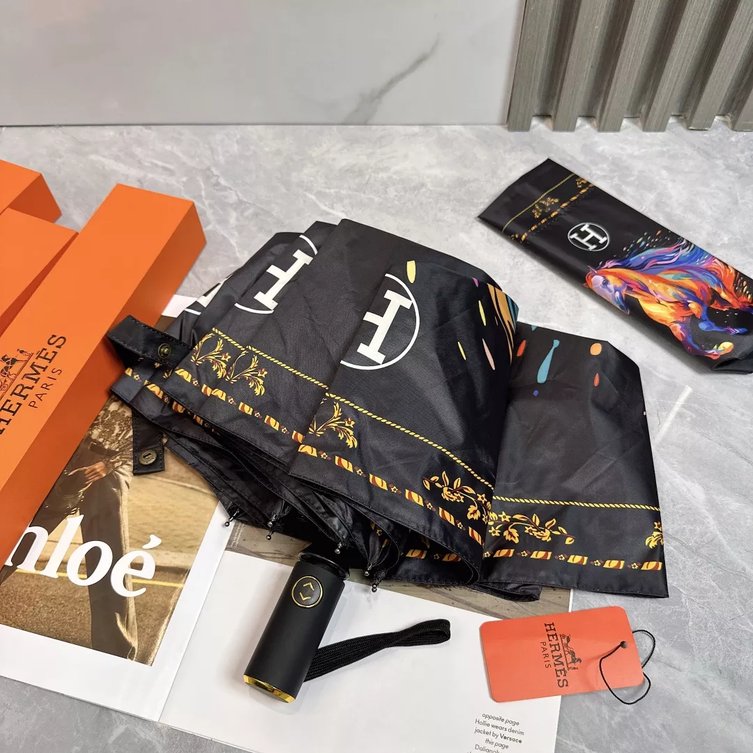 Hermes Umbrellas Bright 2080 - Image 3