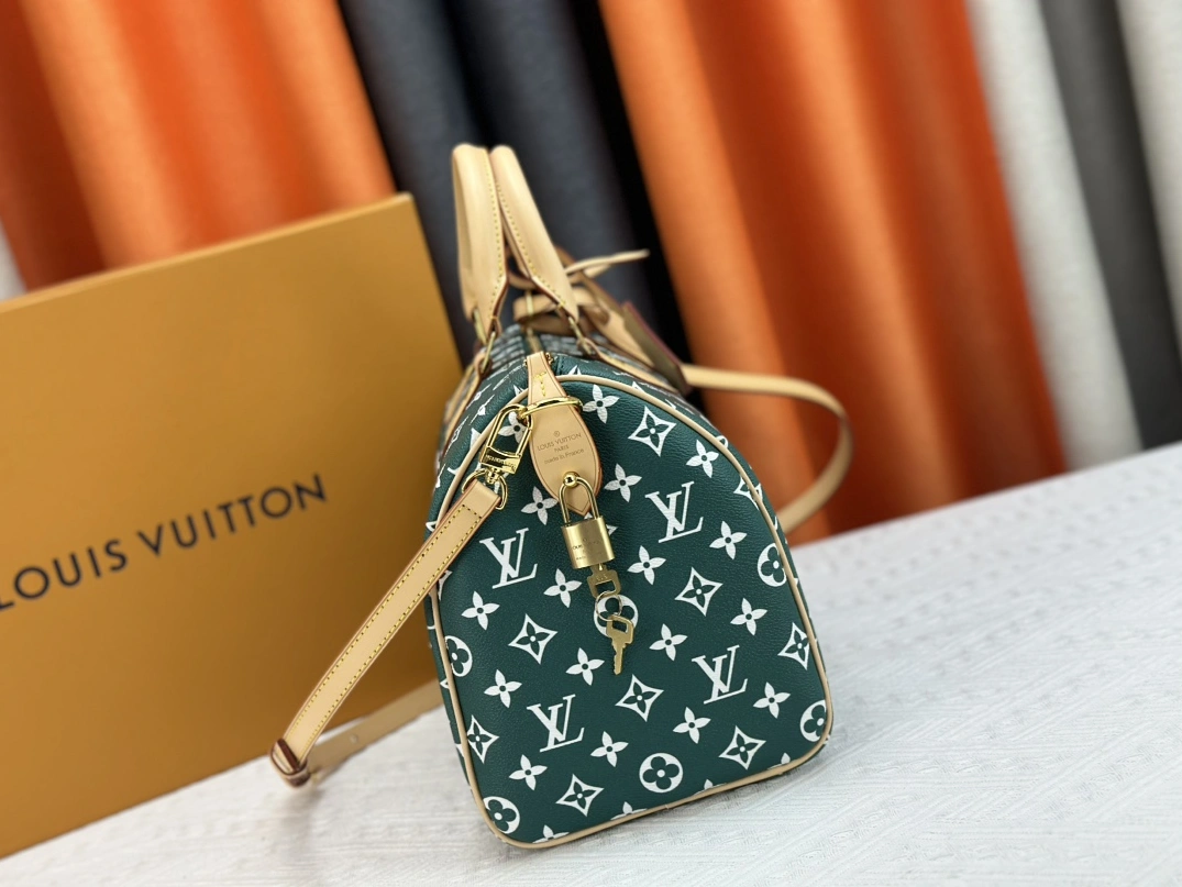 Louis Vuitton AAA Quality Handbags For Women Comfortable 2422 - Image 3