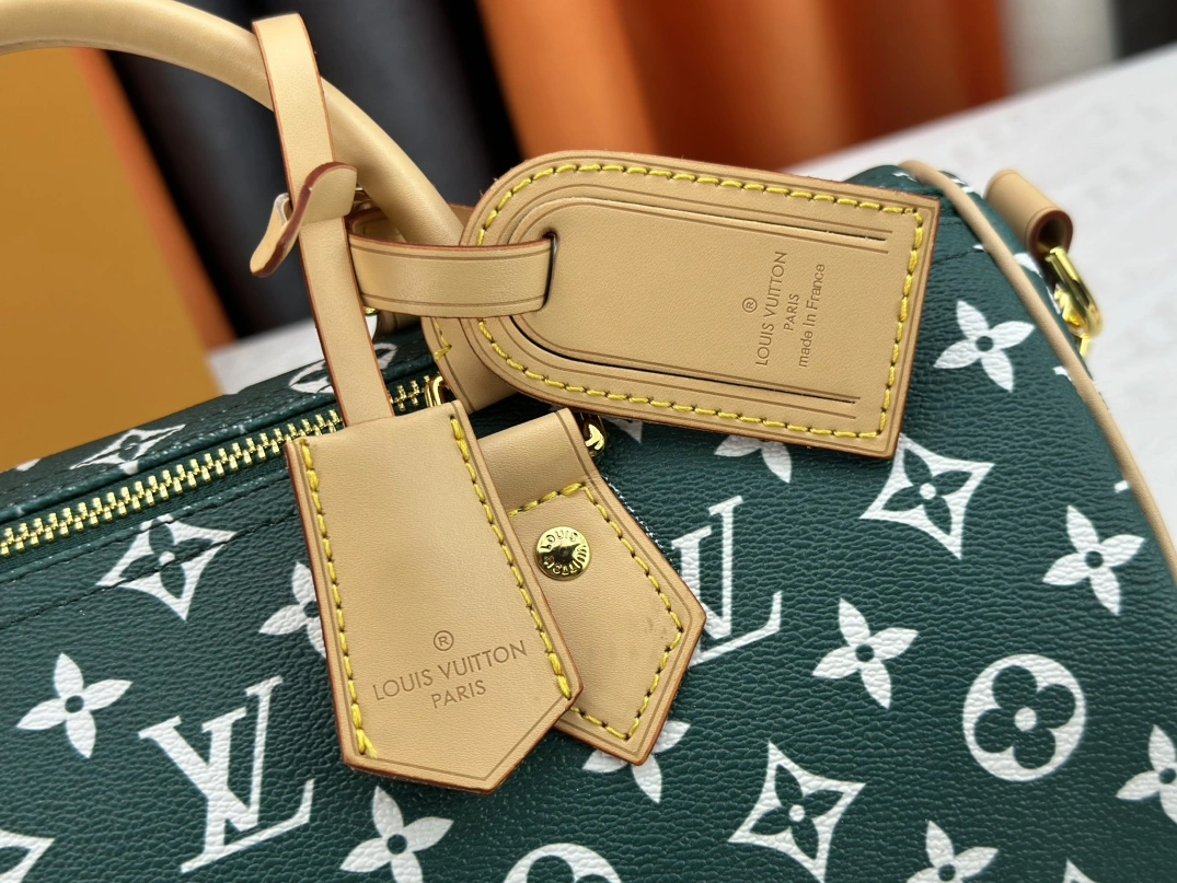 Louis Vuitton AAA Quality Handbags For Women Comfortable 2422 - Image 6