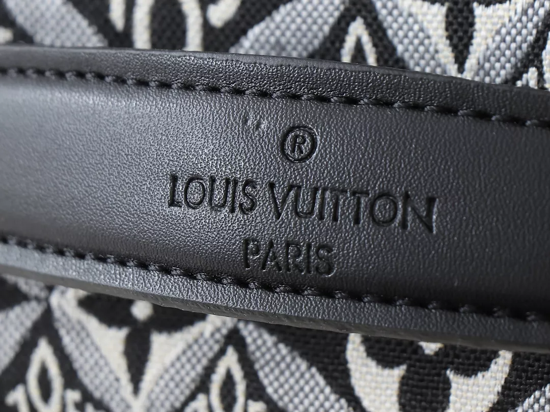 Louis Vuitton AAA Quality Messenger Bags For Women Cozy 2183 - Image 5