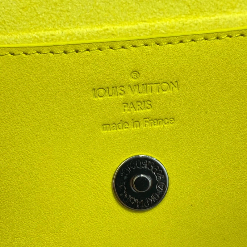 Pineapple Louis Vuitton Damier Azur Woody Glasses Case - Image 6