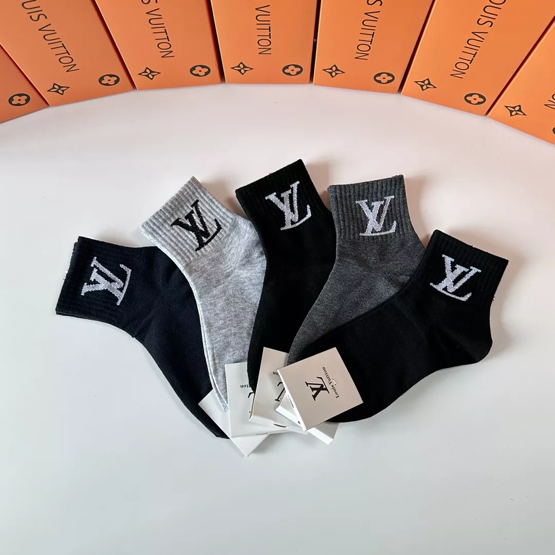 Louis Vuitton LV Socks Lightweight 2982 - Image 4
